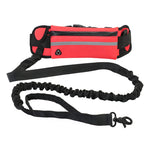 Hands Free Dog Walking Belt And Bungee Leash