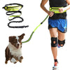 Hands Free Dog Walking Belt And Bungee Leash