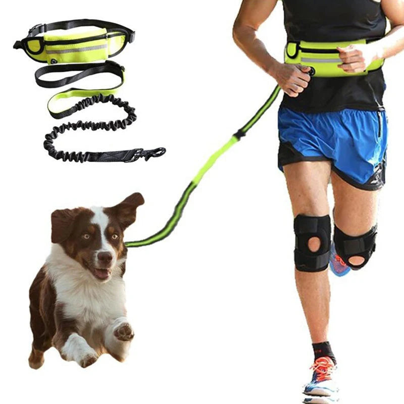 Hands Free Dog Walking Belt And Bungee Leash