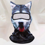 Thermal Windproof Ski Balaclava