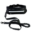 Hands Free Dog Walking Belt And Bungee Leash