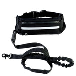 Hands Free Dog Walking Belt And Bungee Leash