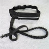 Hands Free Dog Walking Belt And Bungee Leash