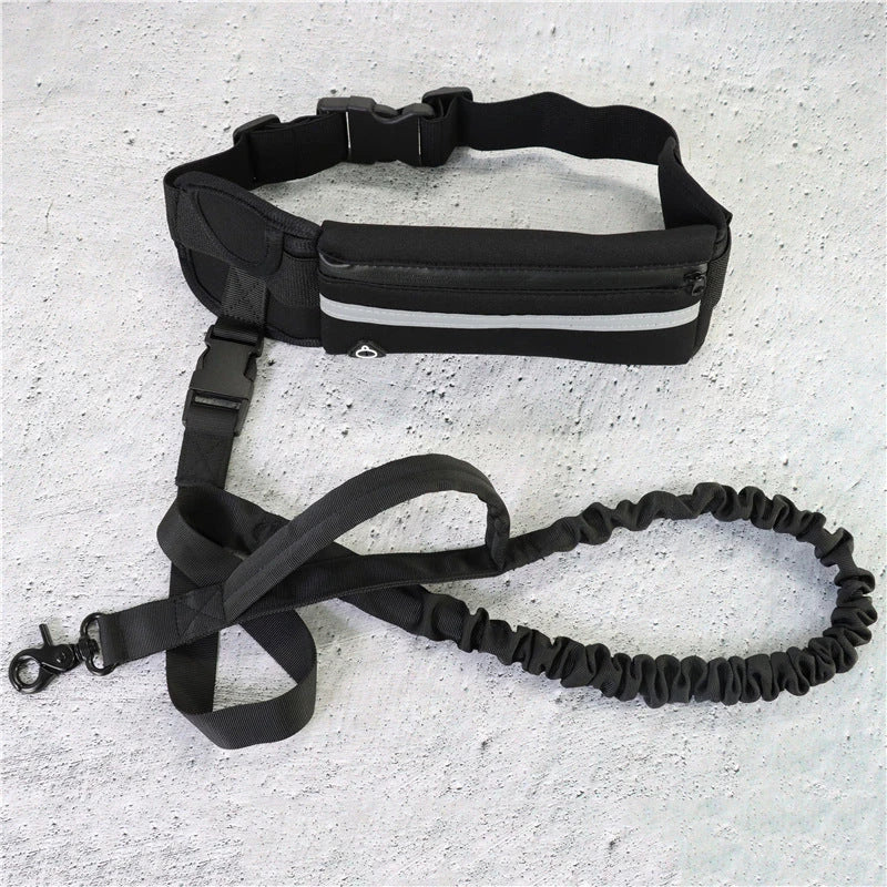 Hands Free Dog Walking Belt And Bungee Leash