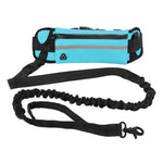 Hands Free Dog Walking Belt And Bungee Leash
