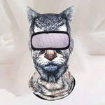 Thermal Windproof Ski Balaclava