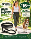 Hands Free Dog Walking Belt And Bungee Leash