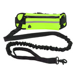 Hands Free Dog Walking Belt And Bungee Leash