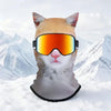Thermal Windproof Ski Balaclava