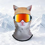 Thermal Windproof Ski Balaclava