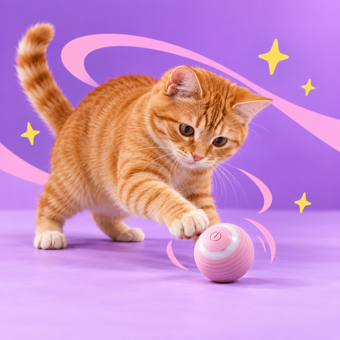 Rechargeable Interactive pet Ball
