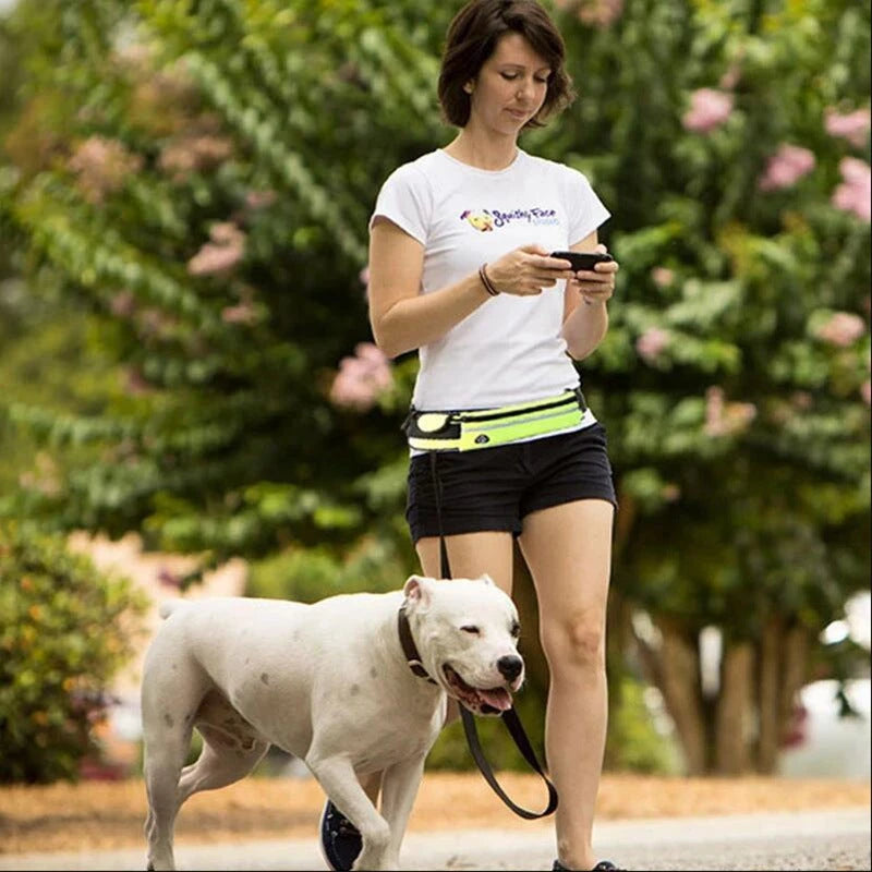 Hands Free Dog Walking Belt And Bungee Leash