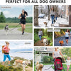 Hands Free Dog Walking Belt And Bungee Leash