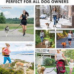 Hands Free Dog Walking Belt And Bungee Leash