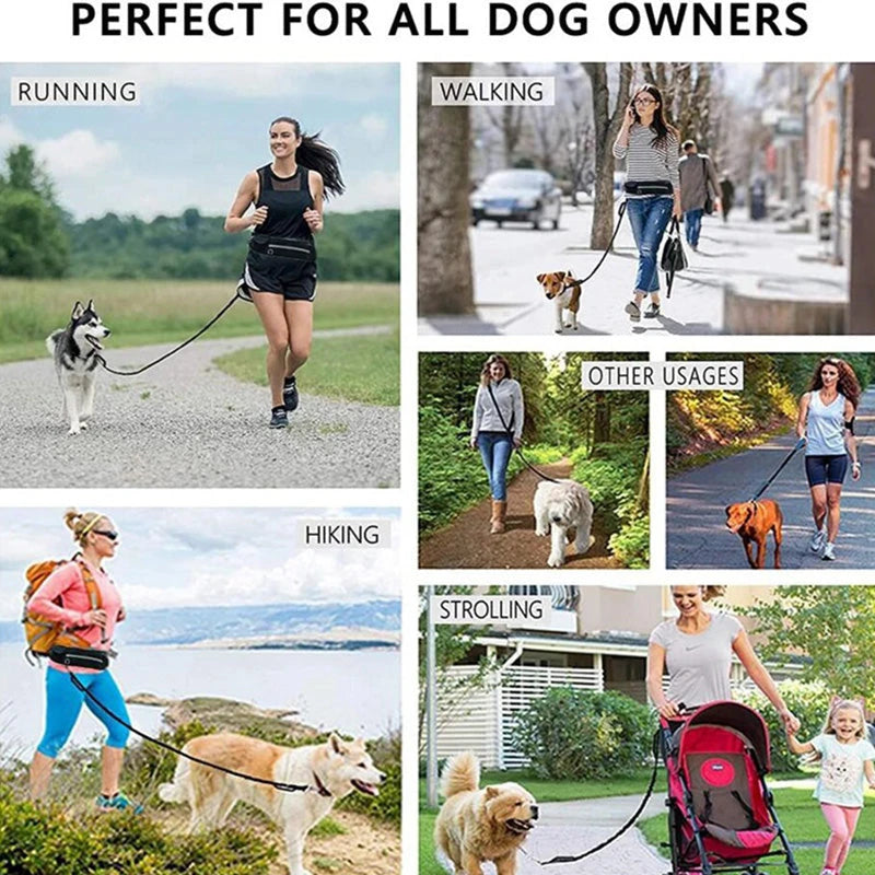 Hands Free Dog Walking Belt And Bungee Leash