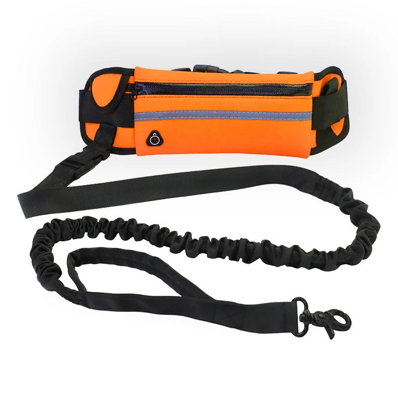Hands Free Dog Walking Belt And Bungee Leash