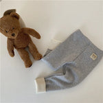 Fleece Lined Thermal Leggings